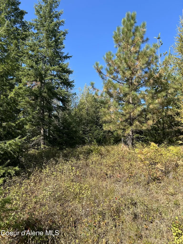 Tract 3 Usfs 2294 Clark Fork ID 83811