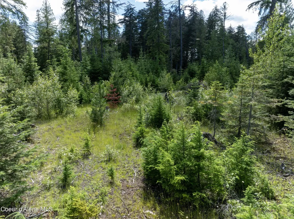 Lot 2 Peirone Estates Nordman ID 83848