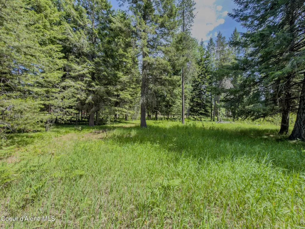 321 Winterton Road Sandpoint ID 83864