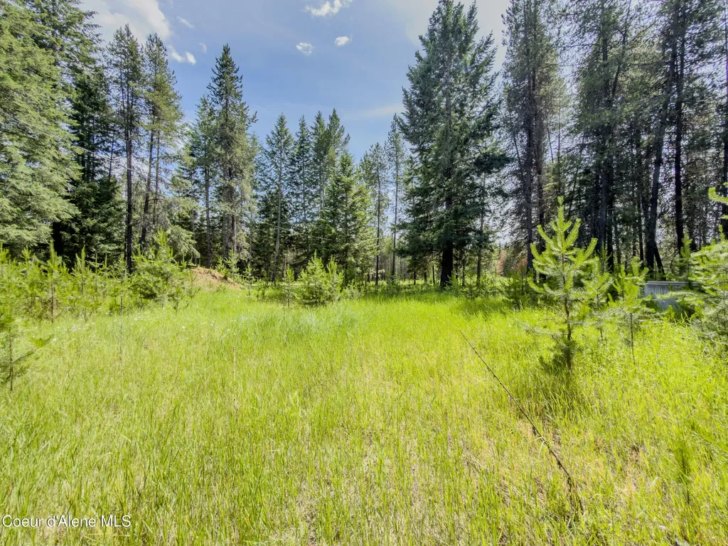 321 Winterton Road Sandpoint ID 83864