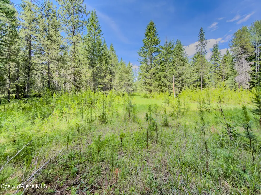 321 Winterton Road Sandpoint ID 83864