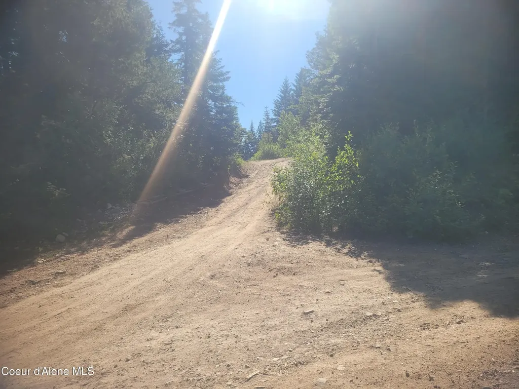 83 Wildflower Road St. Maries ID 83861