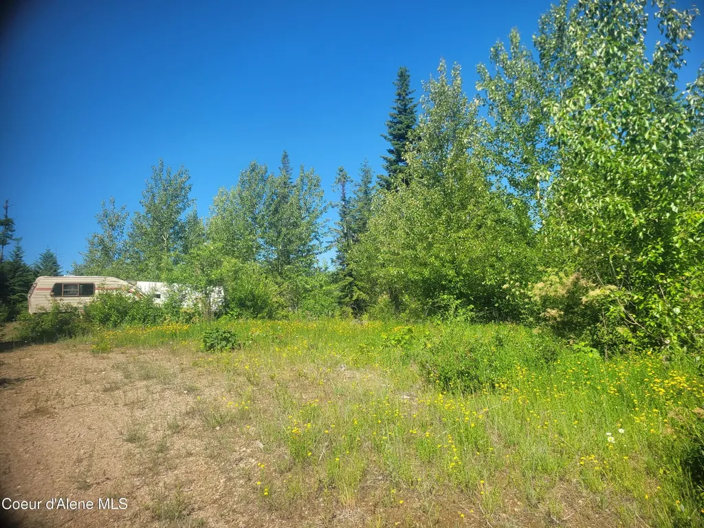 83 Wildflower Road St. Maries ID 83861