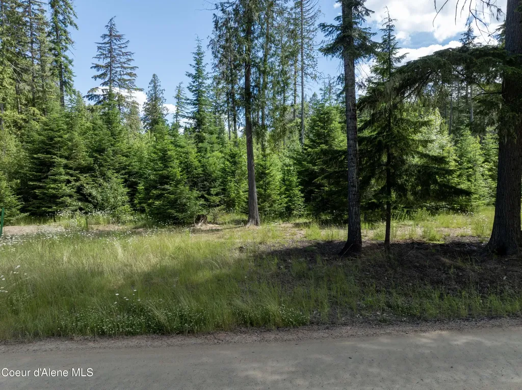 Lot 3 Peirone Estates Nordman ID 83848