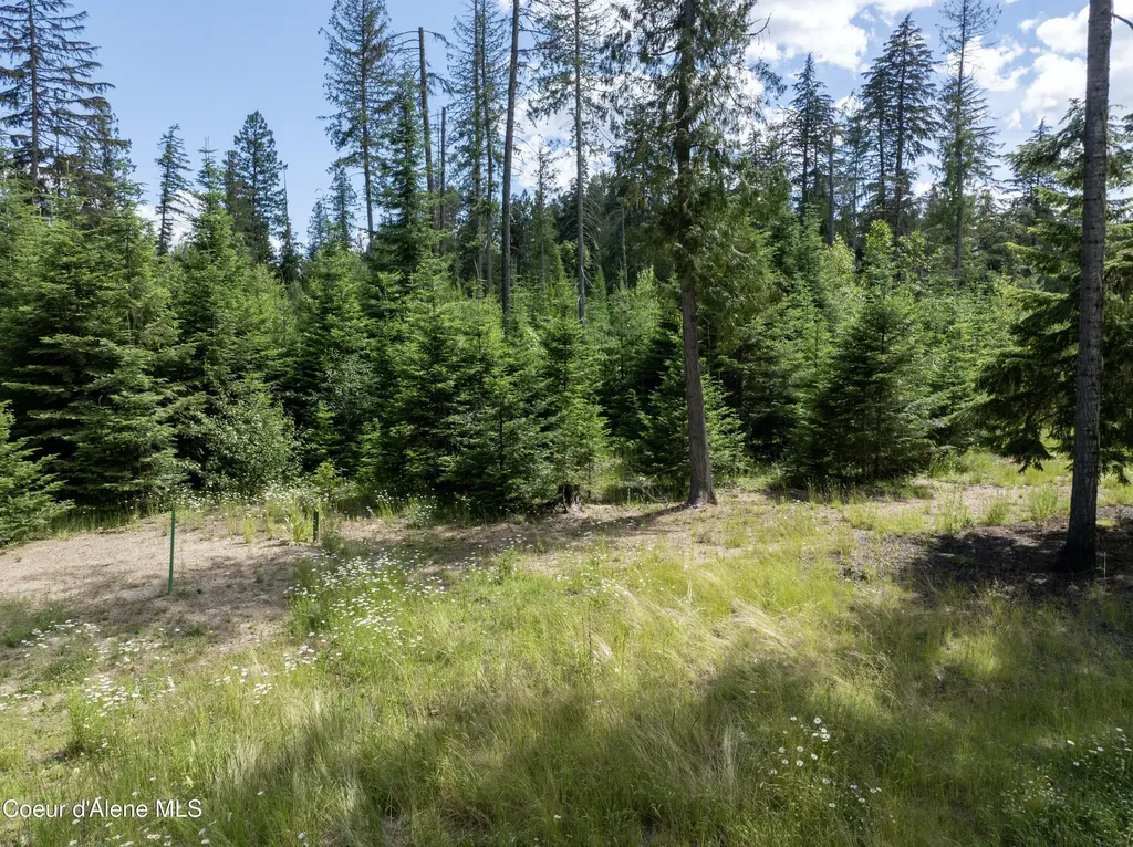 Lot 3 Peirone Estates Nordman ID 83848