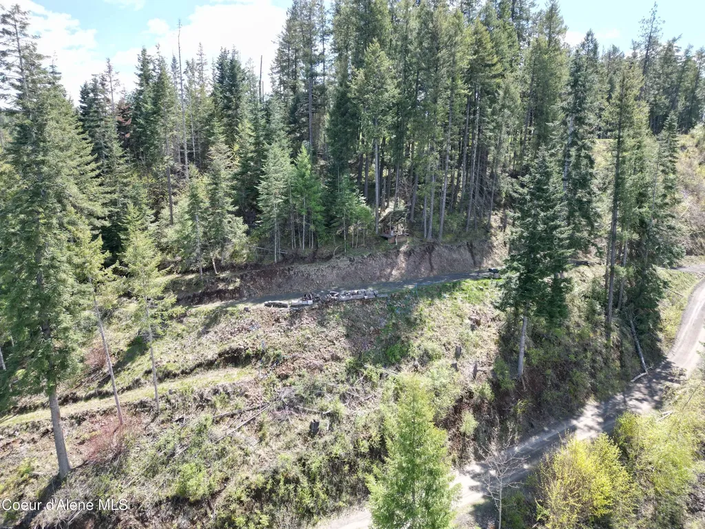 Lot 4 E Cliff View Drive Harrison ID 83833