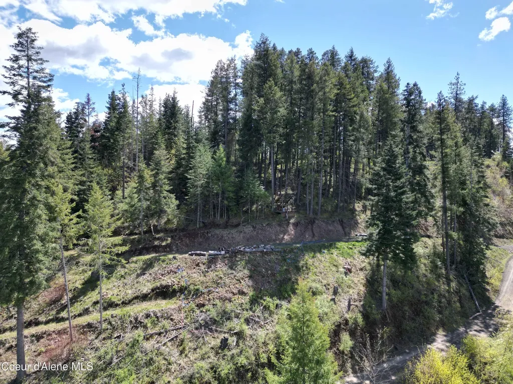 Lot 4 E Cliff View Drive Harrison ID 83833