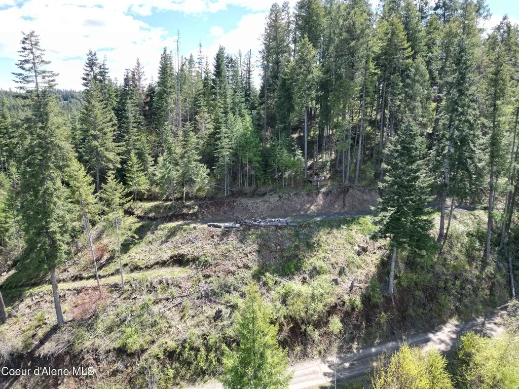 Lot 4 E Cliff View Drive Harrison ID 83833