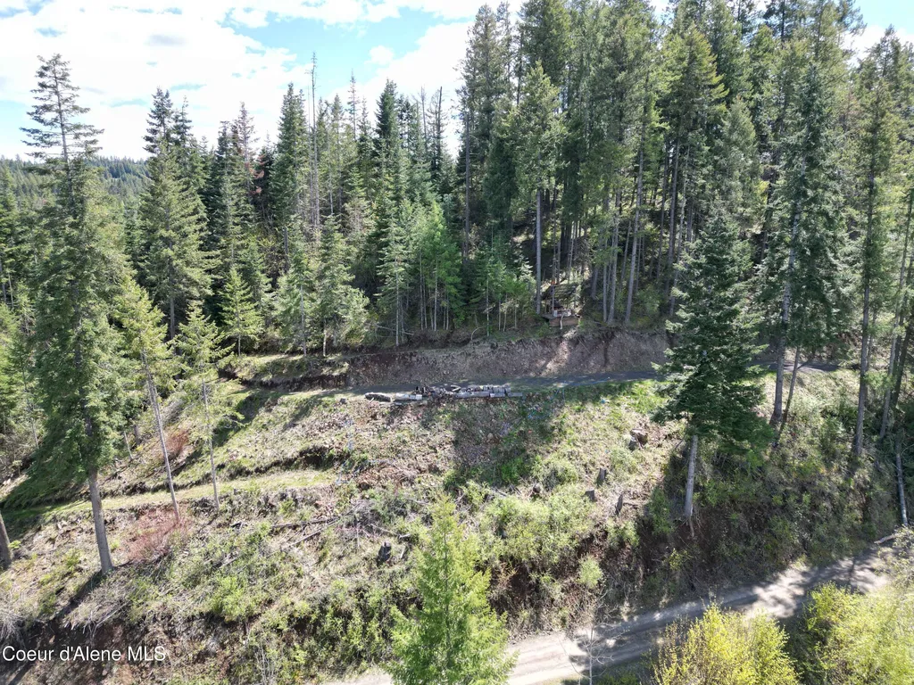 Lot 4 E Cliff View Drive Harrison ID 83833