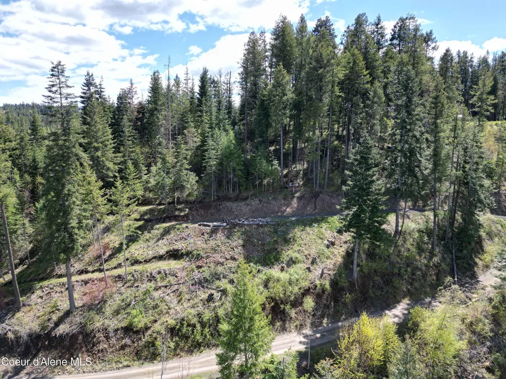 Lot 4 E Cliff View Drive Harrison ID 83833