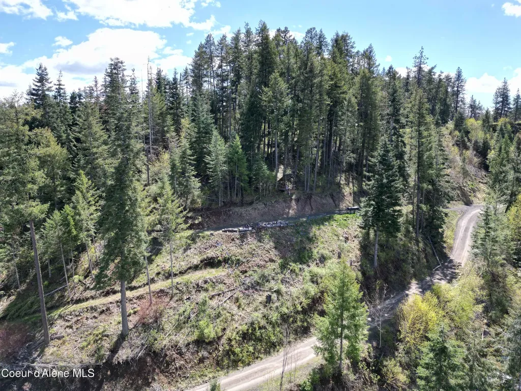 Lot 4 E Cliff View Drive Harrison ID 83833