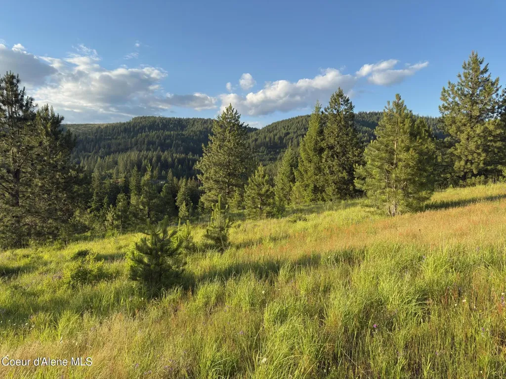 Nna Windfall Pass Road Plummer ID 83851