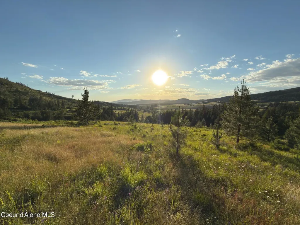 Nna Windfall Pass Road Plummer ID 83851