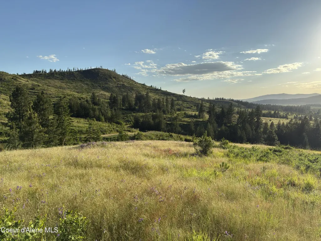 Nna Windfall Pass Road Plummer ID 83851