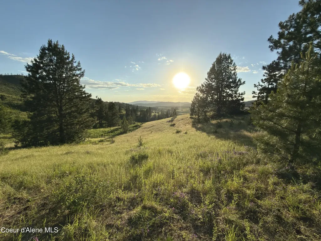 Nna Windfall Pass Road Plummer ID 83851