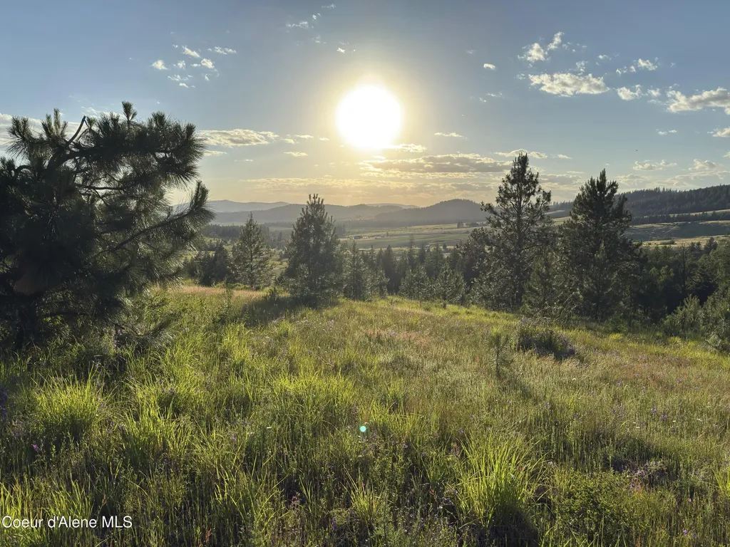 Nna Windfall Pass Road Plummer ID 83851