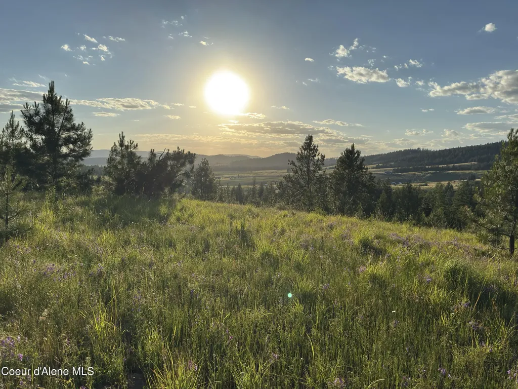 Nna Windfall Pass Road Plummer ID 83851