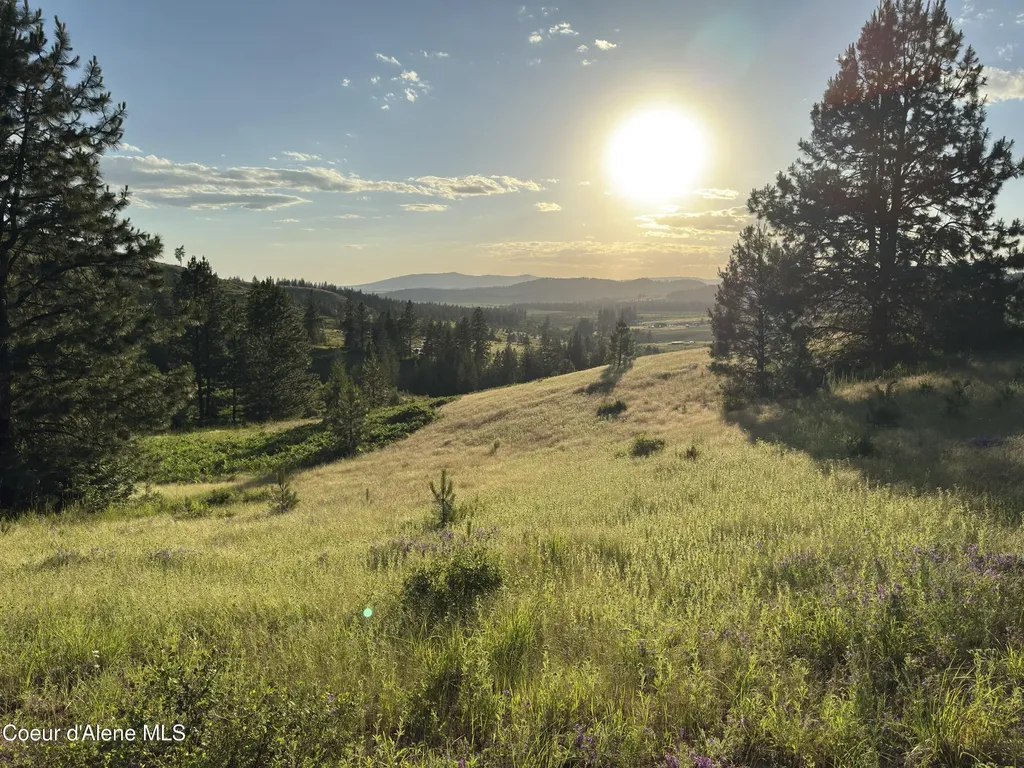 Nna Windfall Pass Road Plummer ID 83851