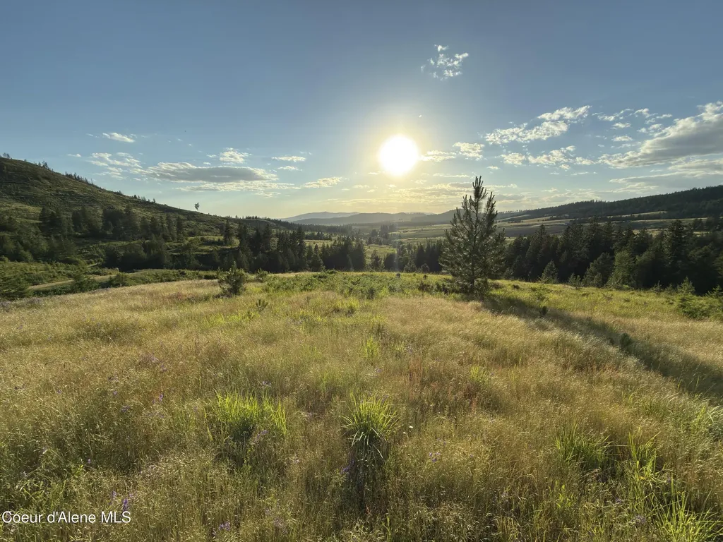 Nna Windfall Pass Road Plummer ID 83851