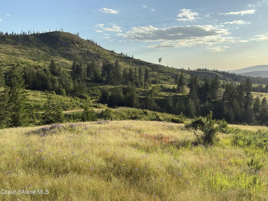 Nna Windfall Pass Road Plummer ID 83851