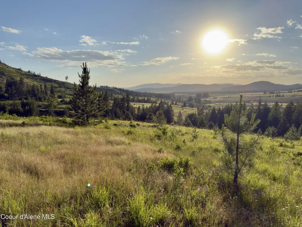 Nna Windfall Pass Road Plummer ID 83851