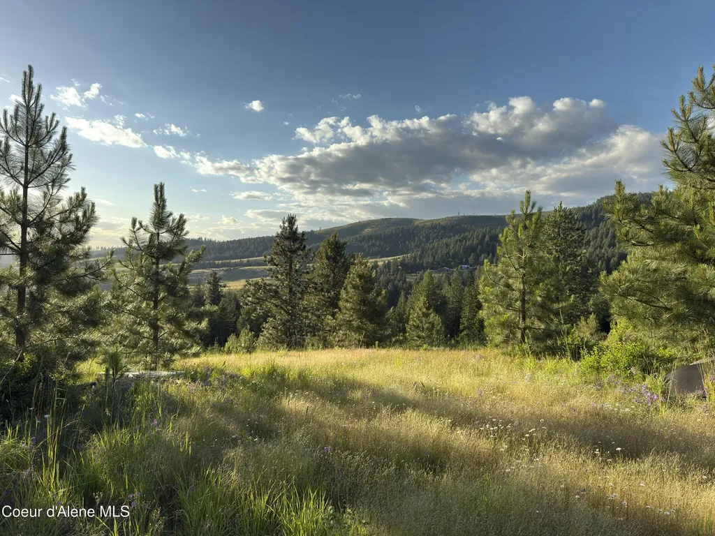Nna Windfall Pass Road Plummer ID 83851