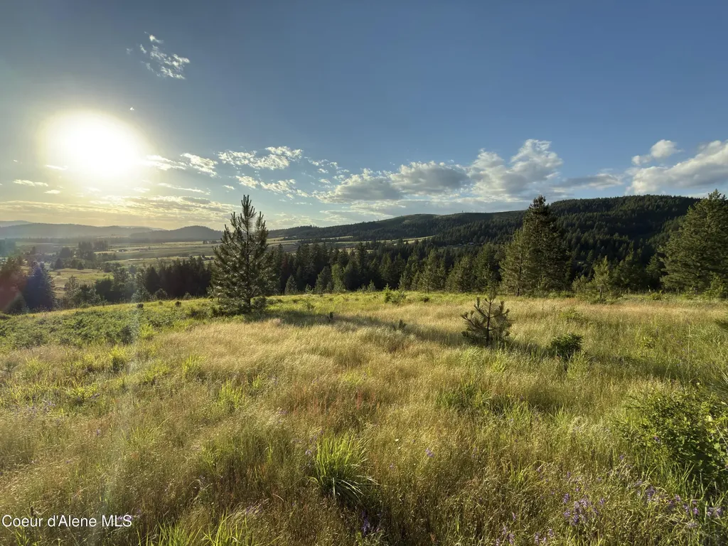 Nna Windfall Pass Road Plummer ID 83851