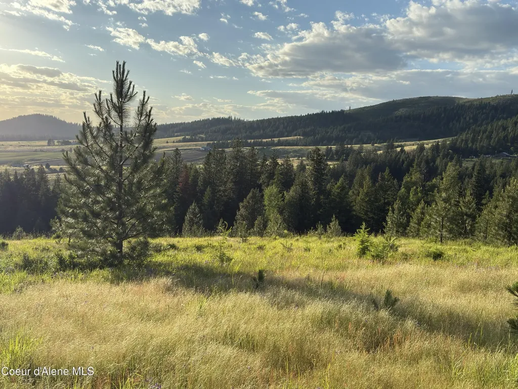 Nna Windfall Pass Road Plummer ID 83851