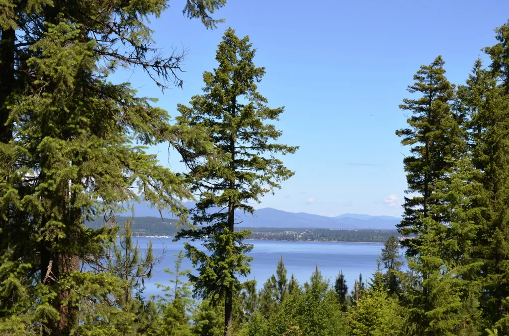 5521 S Longspur Court Harrison ID 83833