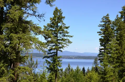 5521 S Longspur Court Harrison ID 83833
