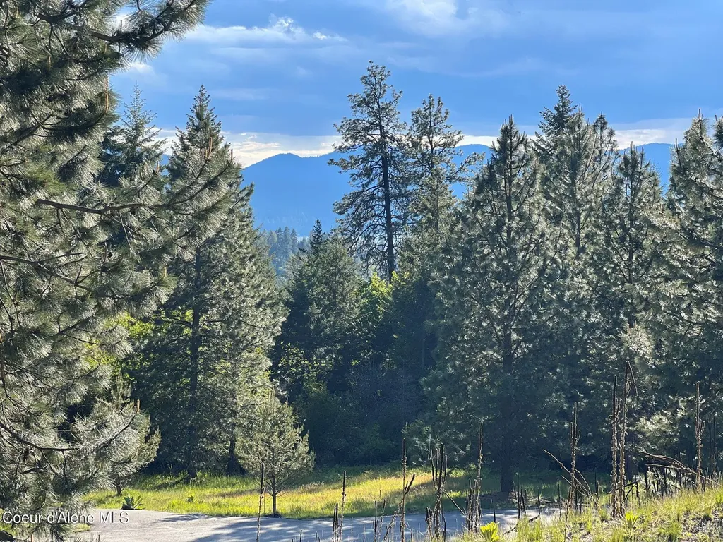 6557 S Buckrail Road Harrison ID 83833
