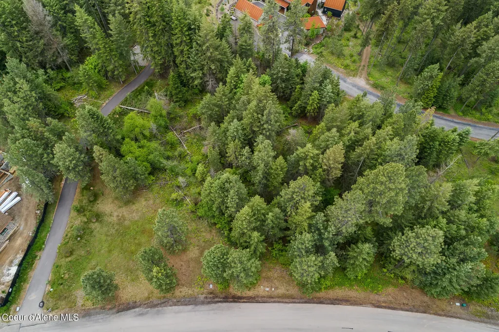 6557 S Buckrail Road Harrison ID 83833