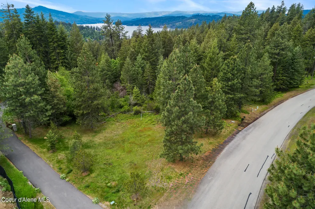 6557 S Buckrail Road Harrison ID 83833
