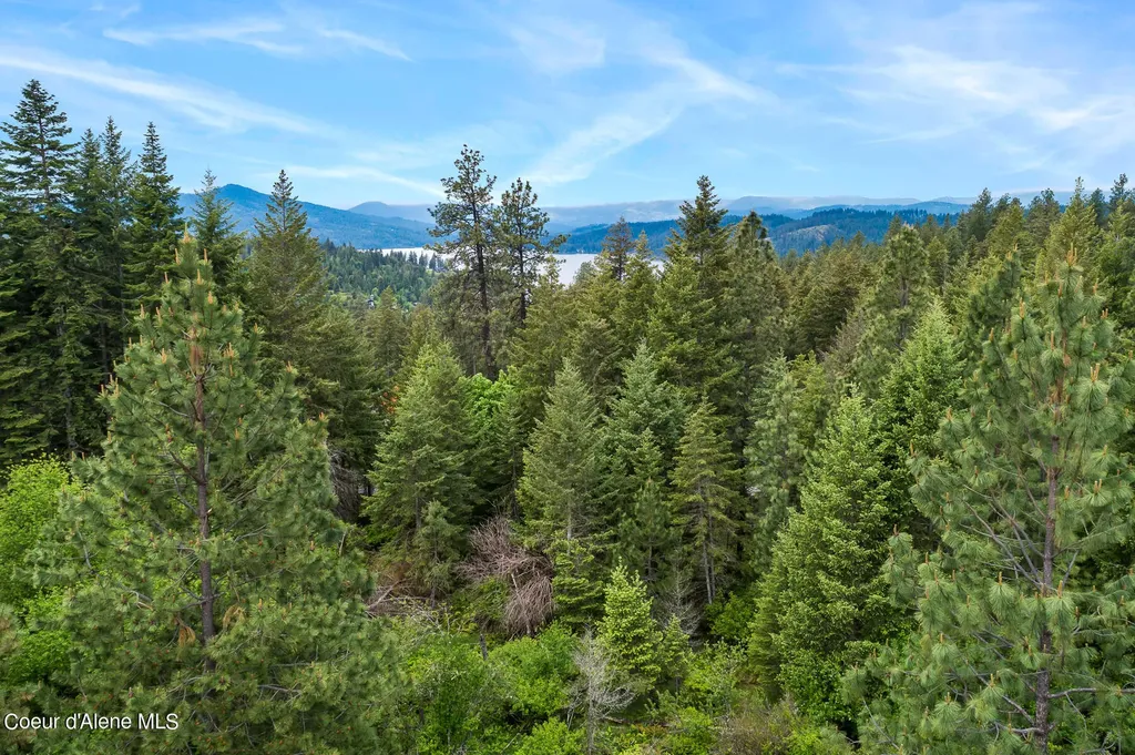 6557 S Buckrail Road Harrison ID 83833