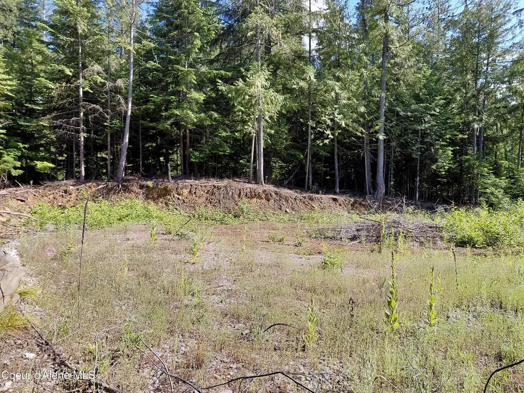 9782 Bottle Bay Road Sagle ID 83860