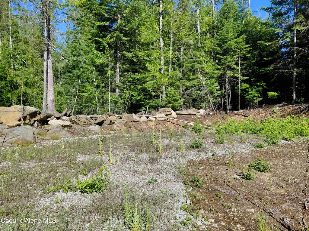 9782 Bottle Bay Road Sagle ID 83860