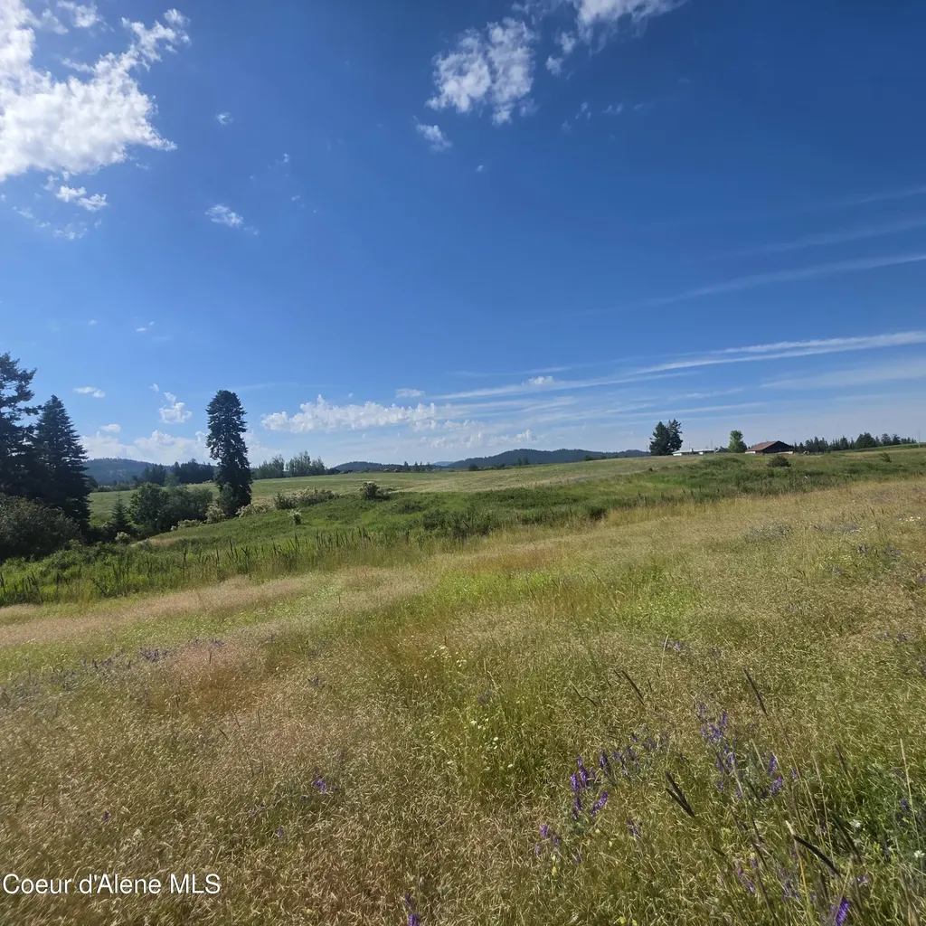 7375 E Sunrise Drive Harrison ID 83833