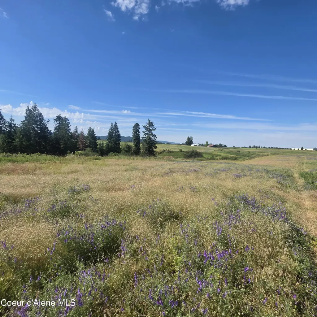 7375 E Sunrise Drive Harrison ID 83833