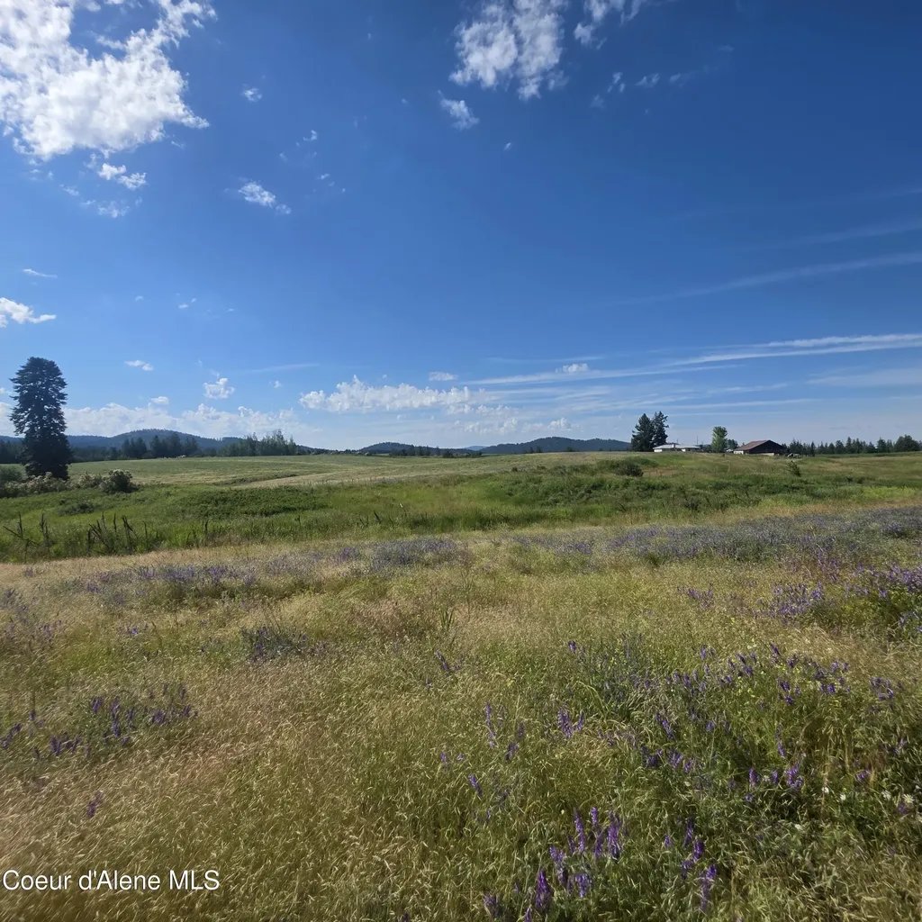 7375 E Sunrise Drive Harrison ID 83833