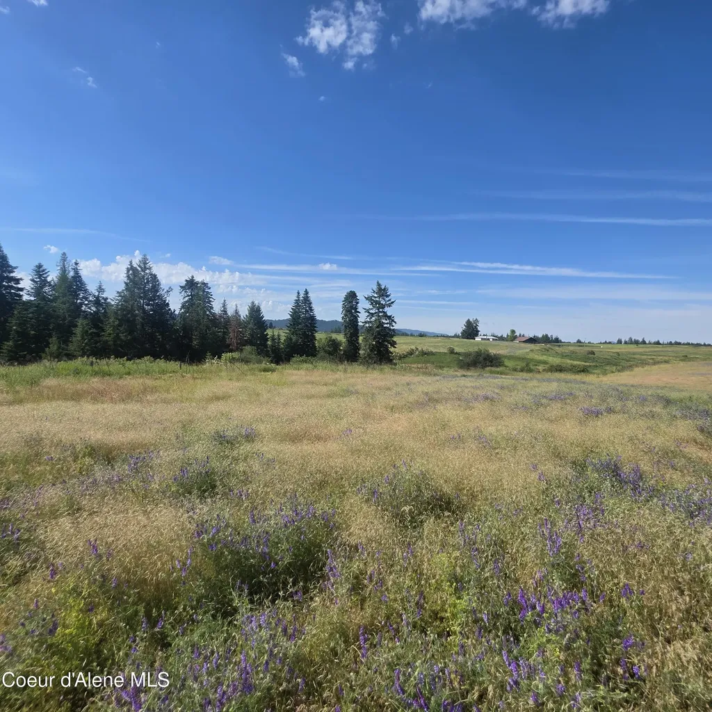 7375 E Sunrise Drive Harrison ID 83833