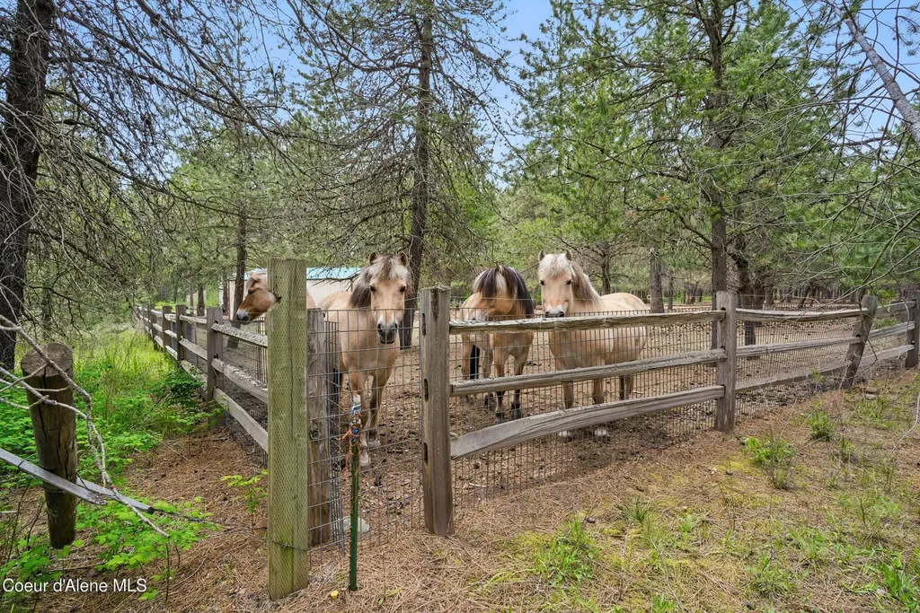 29913 N Red Fish Street Athol ID 83801