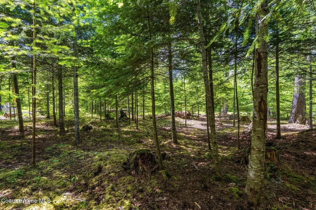 Lot 29 Bruin Road Nordman ID 83848