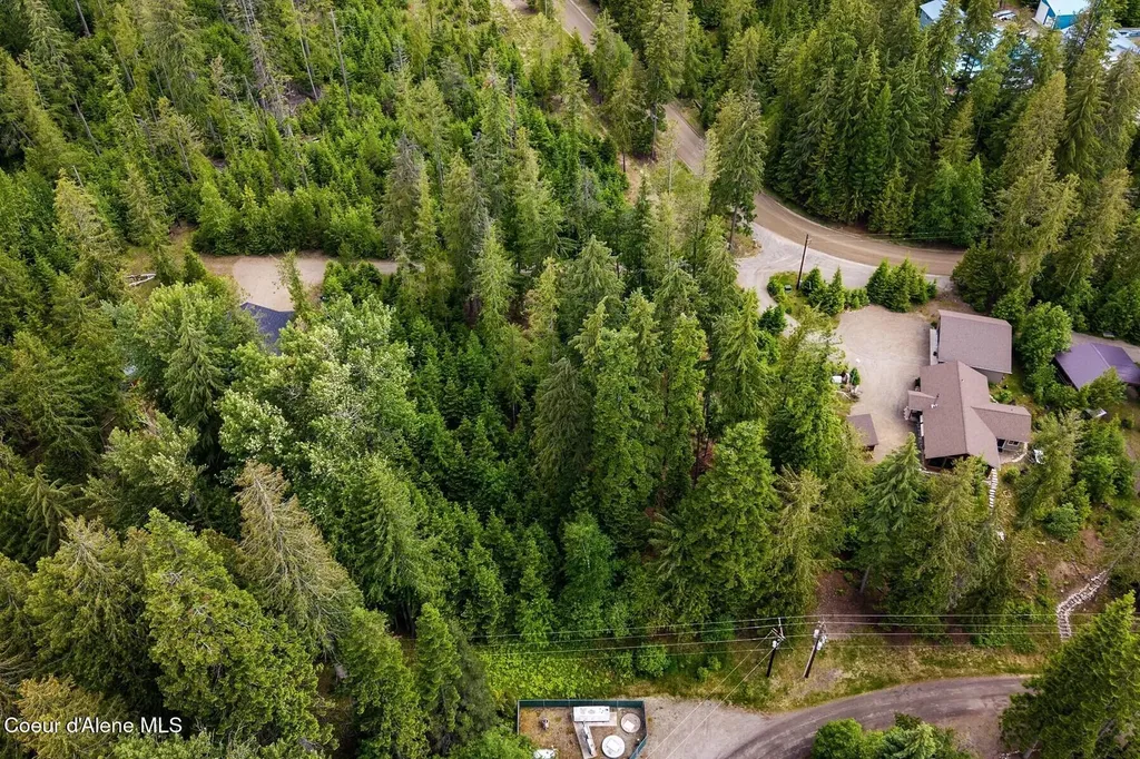 Lot 29 Bruin Road Nordman ID 83848