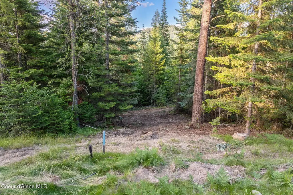 Lot 3 Blk Wildcat South Hayden ID 83835