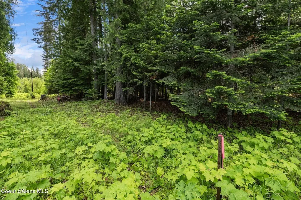 Lot 30 Bruin Road Nordman ID 83848