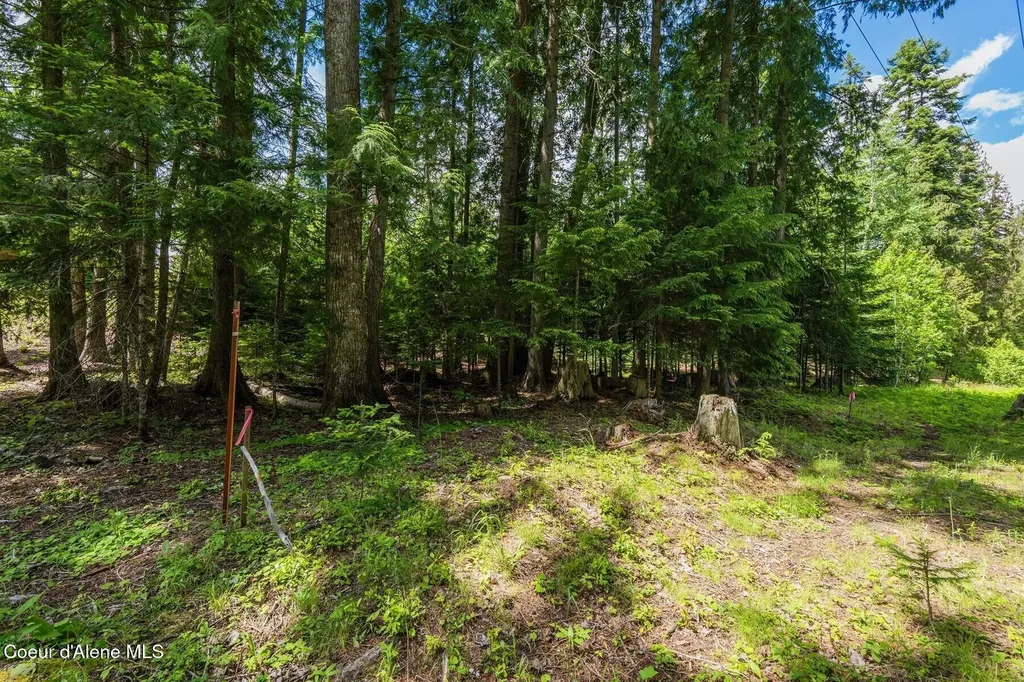 Lot 30 Bruin Road Nordman ID 83848