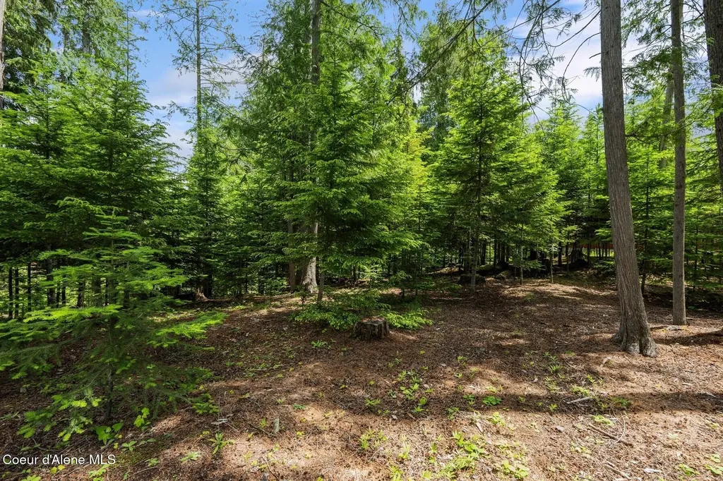 Lot 30 Bruin Road Nordman ID 83848