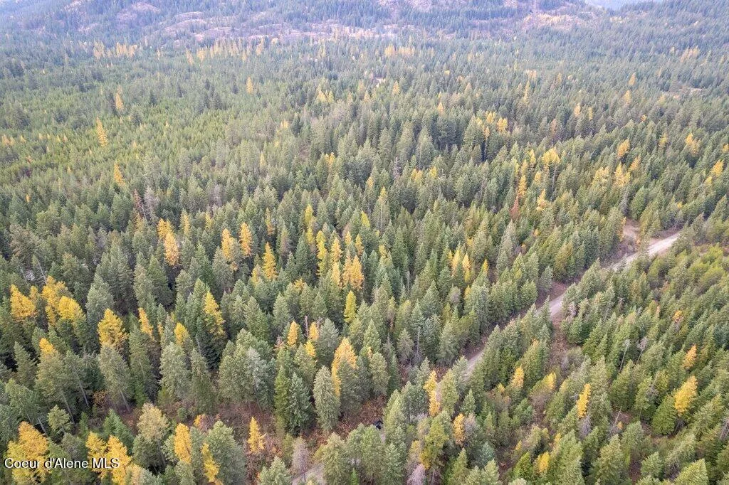 Lot 4 Peak Road Spirit Lake ID 83869