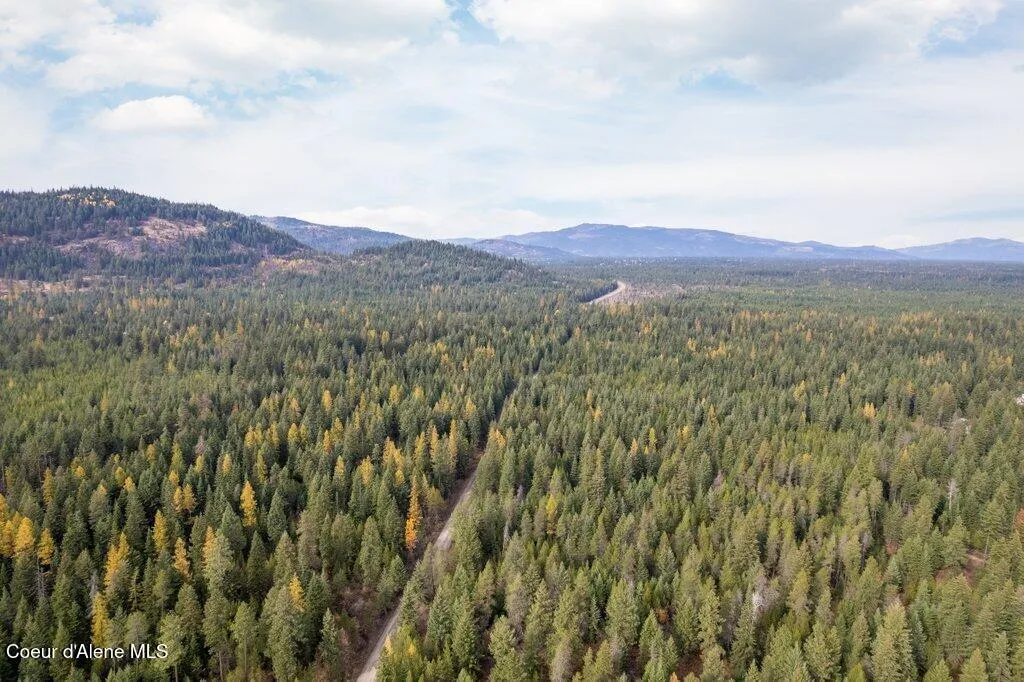 Lot 4 Peak Road Spirit Lake ID 83869