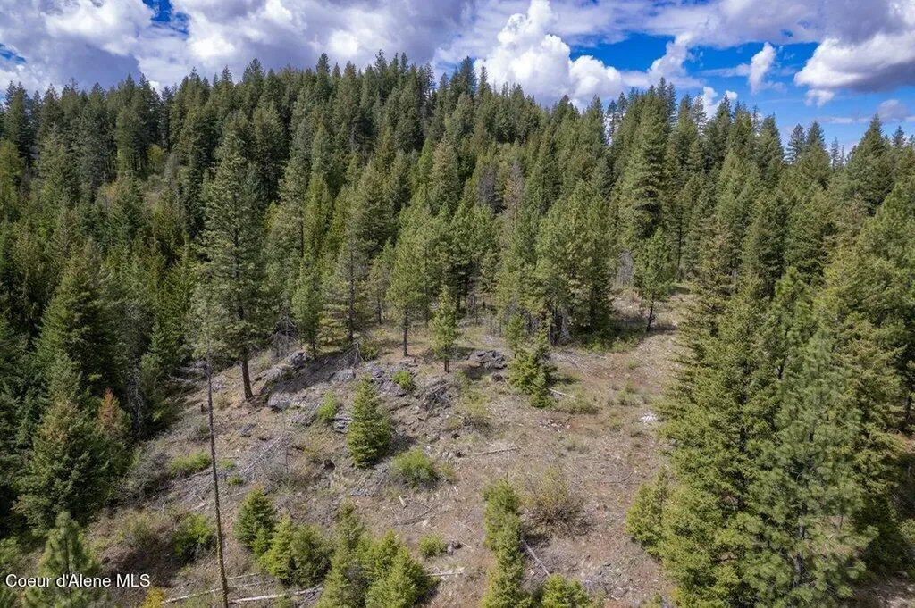 1131 Cabin Ridge Road Spirit Lake ID 83869